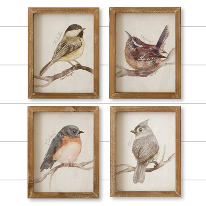 Framed Prints - Birds