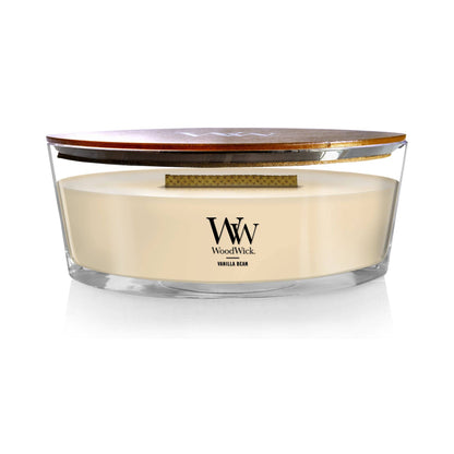 Vanilla Bean Scented Ellipse Candle, 16 oz