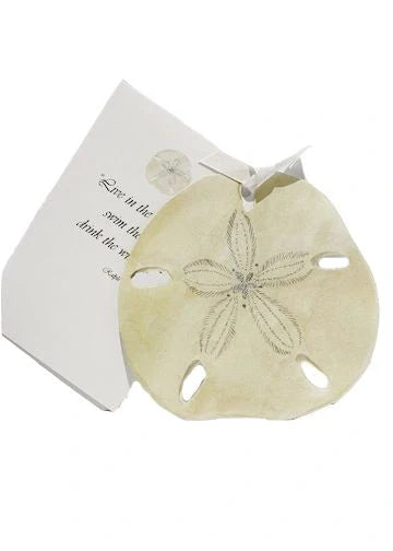 Sand Dollar with glitter greeting card