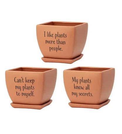 Funny Square Planters- assorted design-sold separately