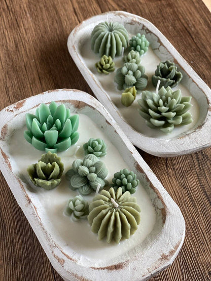 Vela perfumada de jardín de cactus en cuenco de madera