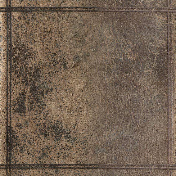 Vinyl Rug Leather