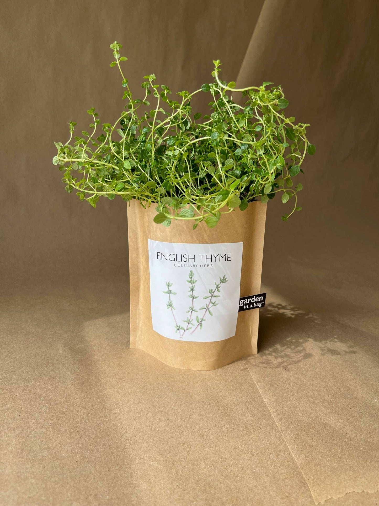 Garden in a Bag | English Thyme