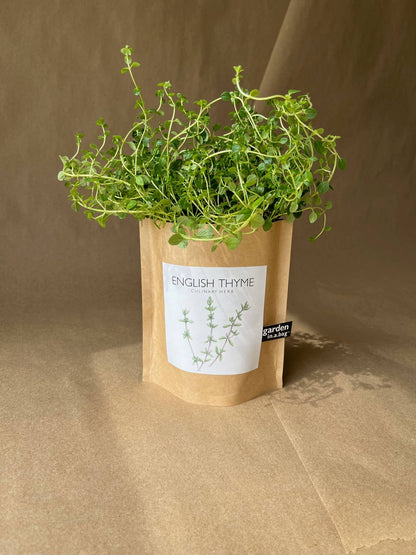 Garden in a Bag | English Thyme