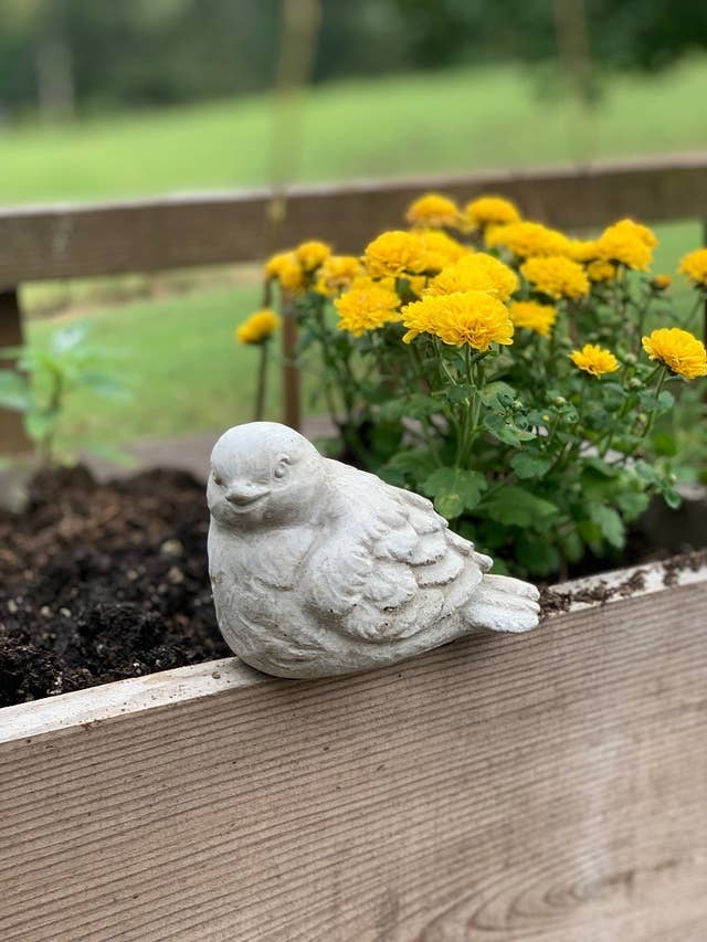 Sitting Cement Bird Statue 1