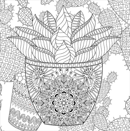 Libro para colorear de suculentas para adultos