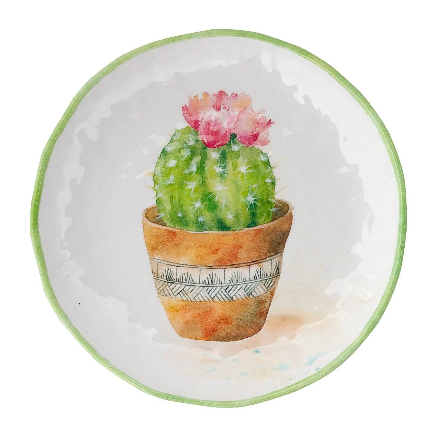4-Piece Cactus 9" Melamine Plate