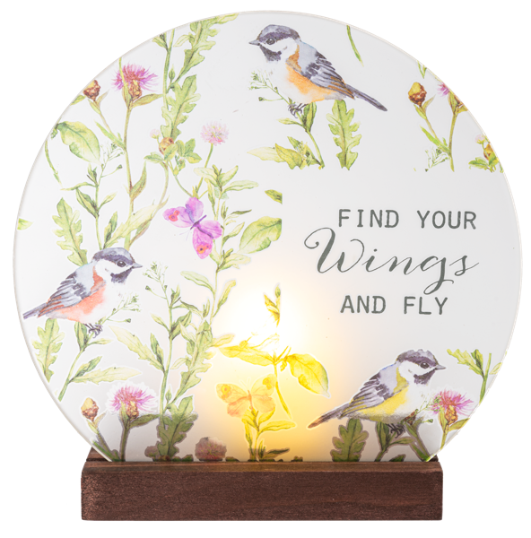 Find Your Wings & Fly light Up Plaques