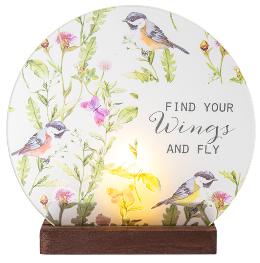 Find Your Wings & Fly light Up Plaques