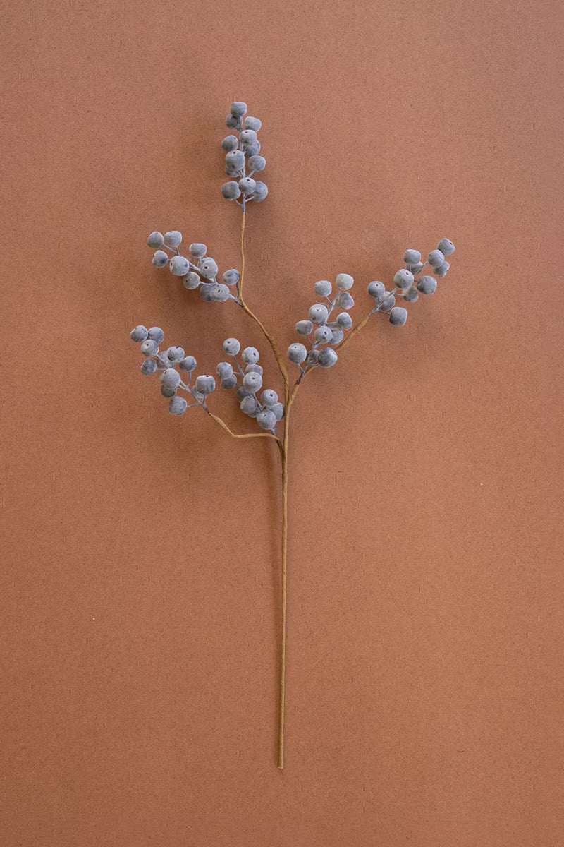 Botanica