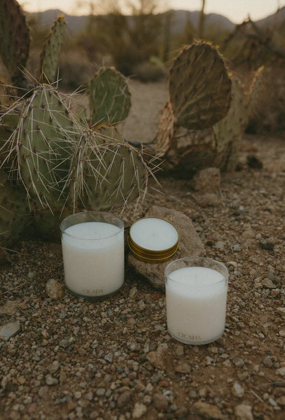The Scent of Summer Storms Desert Rain