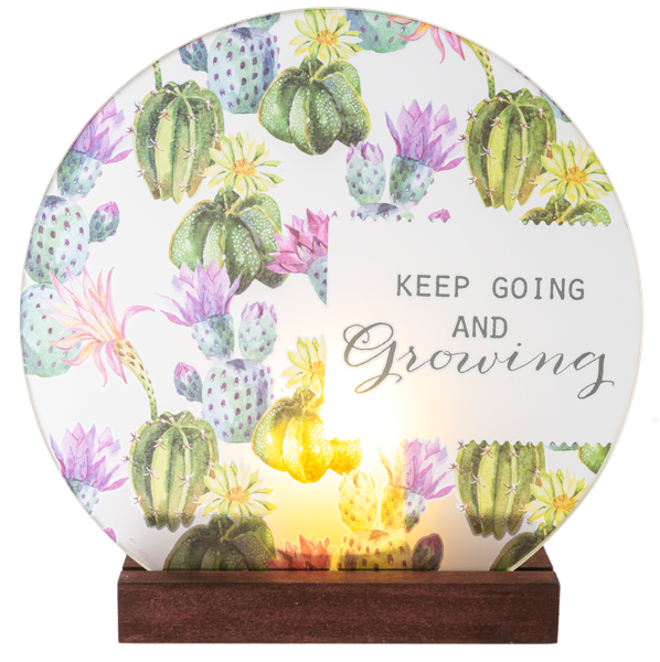 Keep Going & Growing light Up Plaques
