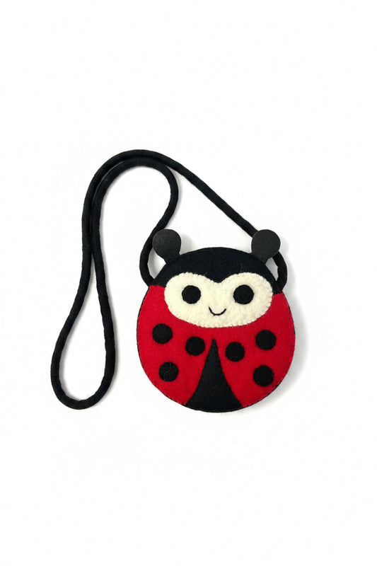 Felt Crossbody Bag -Assorted