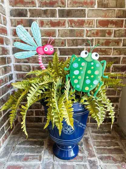 Crazy Patterned Dragonfly and Beetle