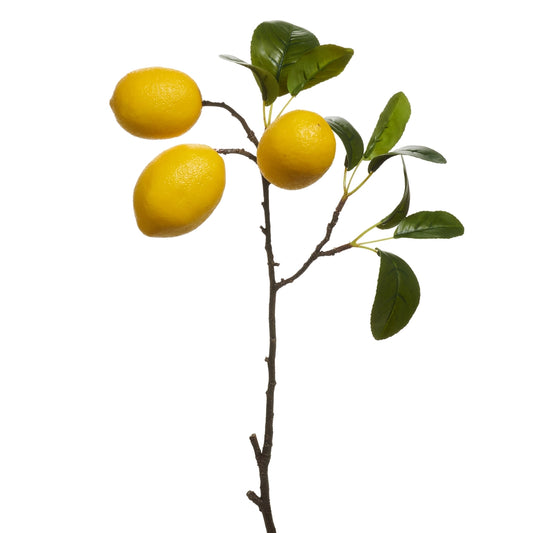 36" Lemon Spray
