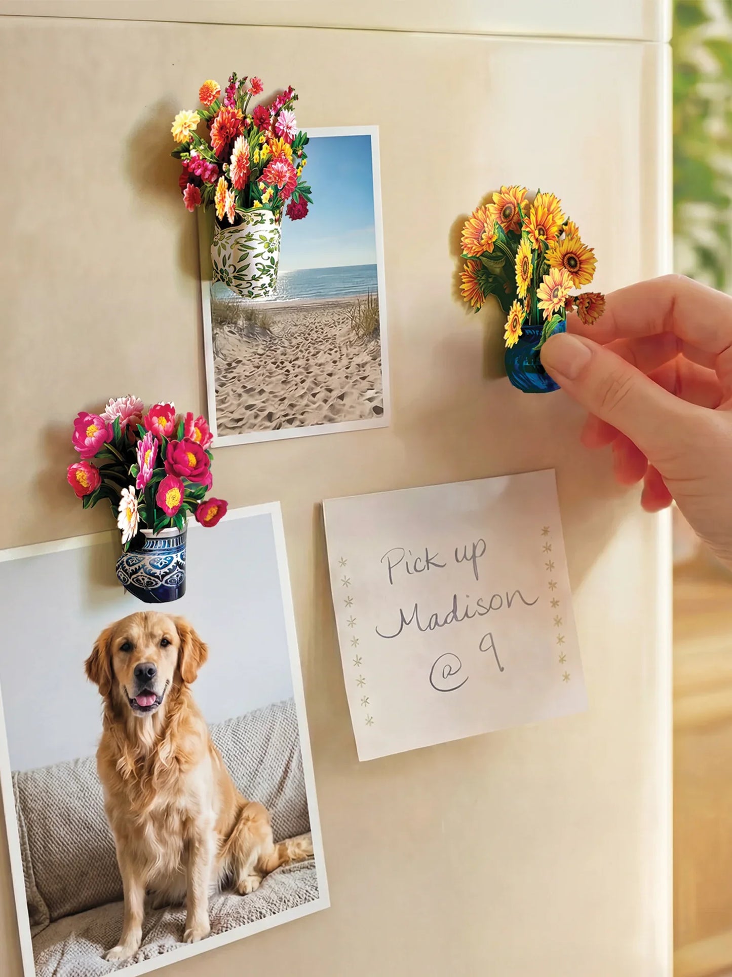 Mini Bloom Magnets: Garden Favorites