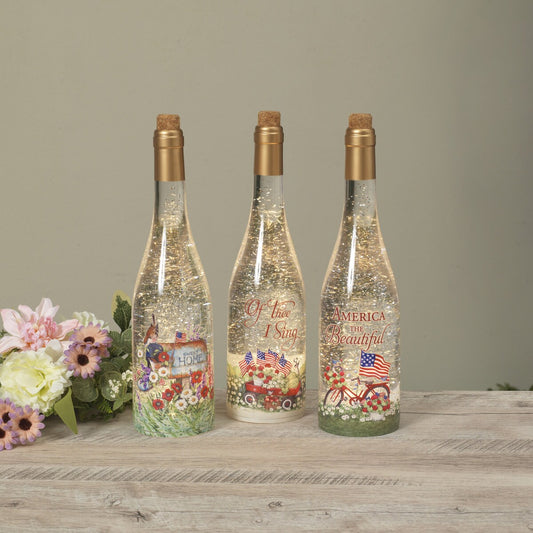 Lighted Spinning Water Globe Bottle w/Americana Design and Timer-Assorted Designs