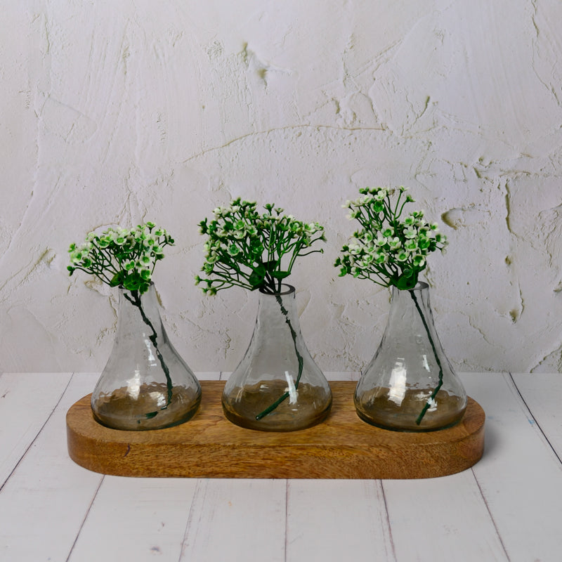 Dahlia Glass Bud Vase with Wooden Tray, Three clear glass bud vases, each a different shape, set on an oval mango wood tray against a white background.
