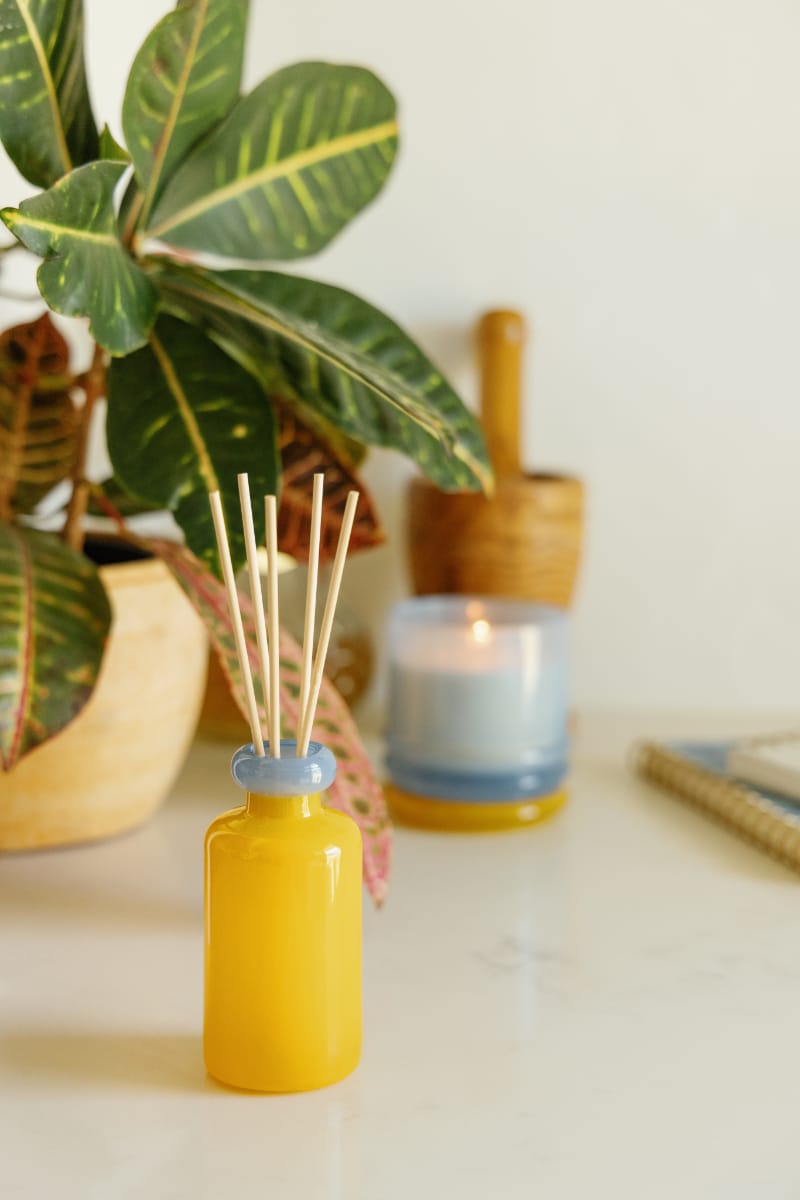 Stack 3.2 oz Diffuser, A maroon glass reed diffuser bottle with pink topped reeds standing next to its packaging box labeled Saffron Rose.