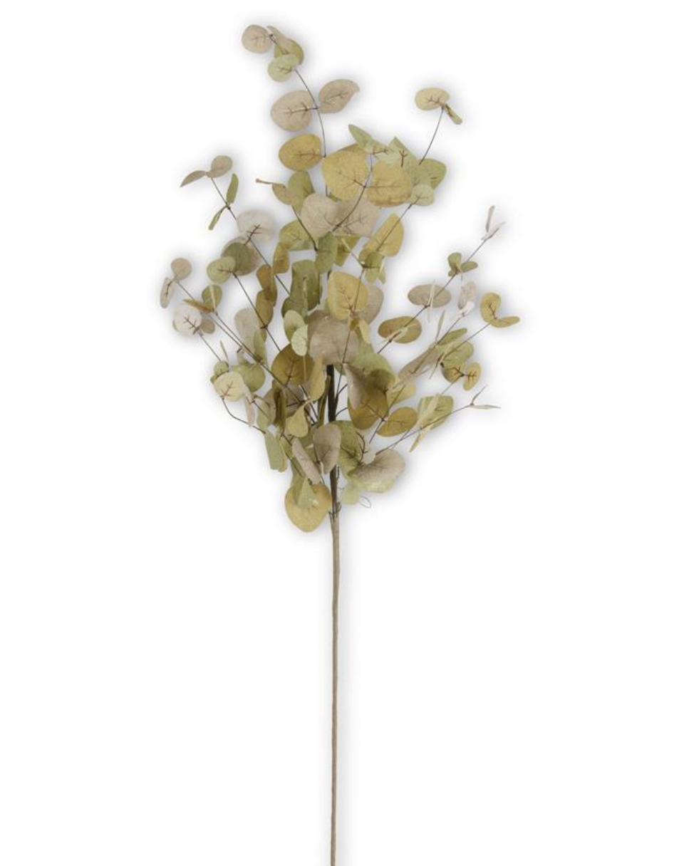 36 Inch Green Two-Tone Eucalyptus Stem