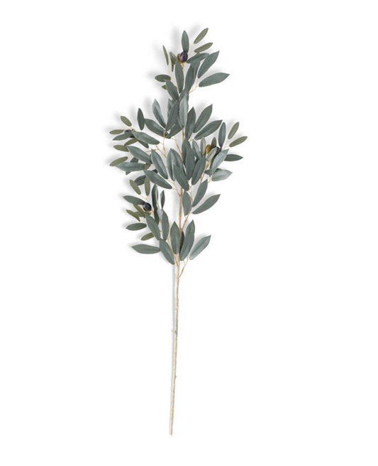 Rama de hoja de olivo de 35 pulgadas