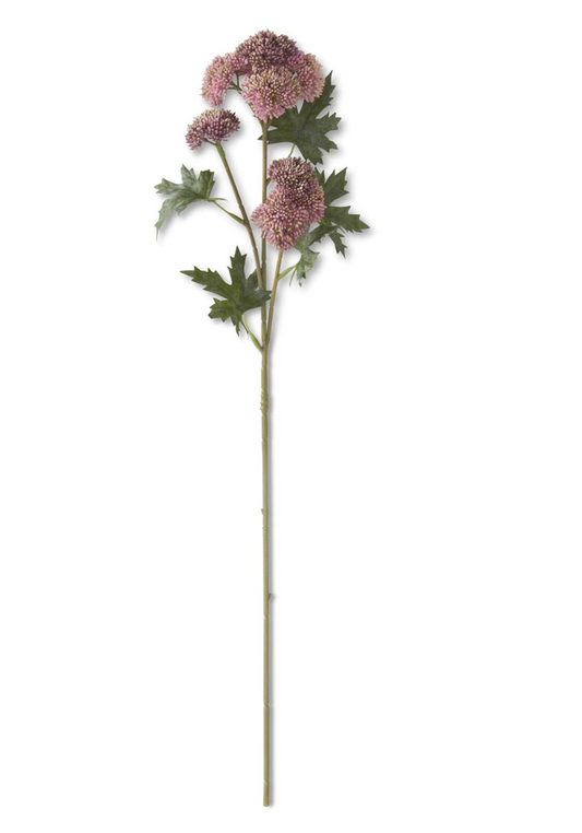 28 Inch Pink Sedum Stem