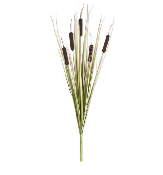 25 Inch Dark Brown 5 Head Cattail Stem