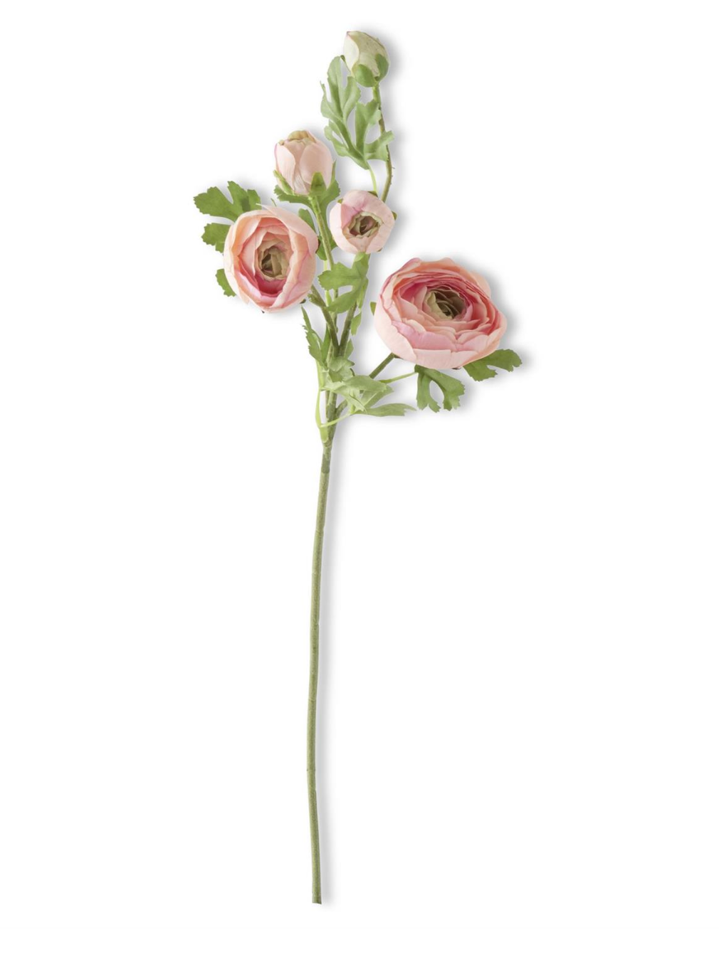 Tallo de ranúnculo de 5 cabezas, tacto real, color rosa, 24,5 pulgadas