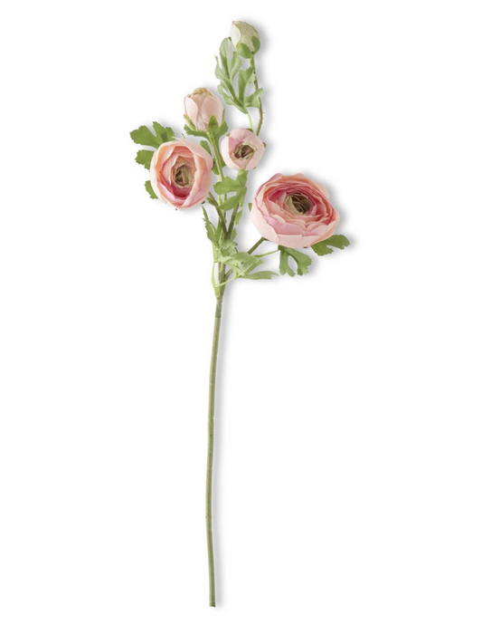 24.5 In Pink Real Touch 5 Head Ranunculus Stem