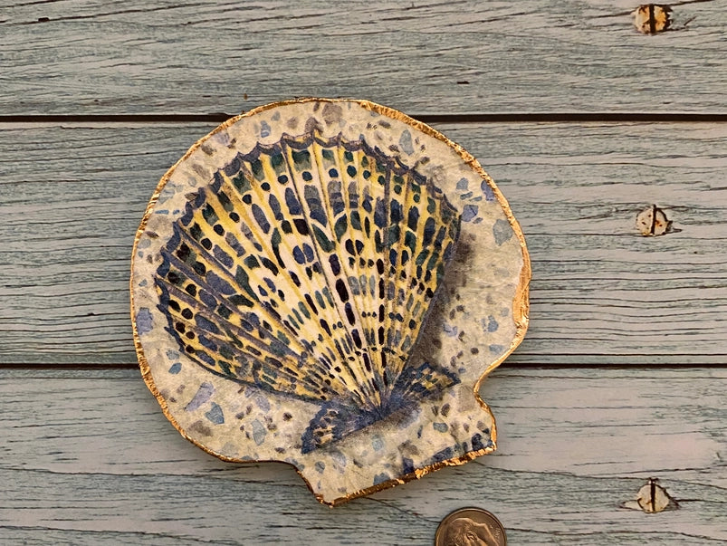 Sandy Scallop - Shell