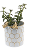 White & Gold Honeycomb Planter with Bee - Small