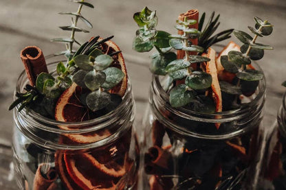 Cold and Flu Fighting Simmer Potpourri