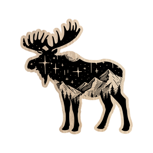 Eco Sticker - Night Sky