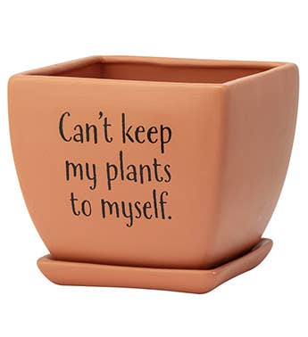 Funny Square Planters- assorted design-sold separately