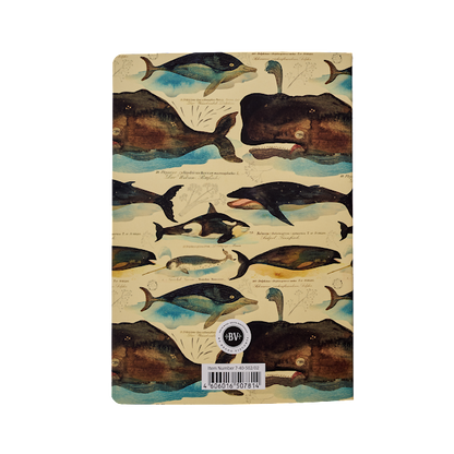N Fauna Astd 8.27"