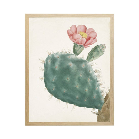 Cropped Cactus A