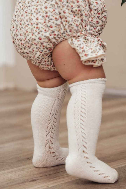 French Lace Knee High Baby Socks