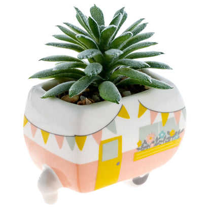 Shaped Succulent Pot
