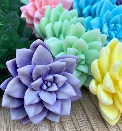 3D Succulent Soaps