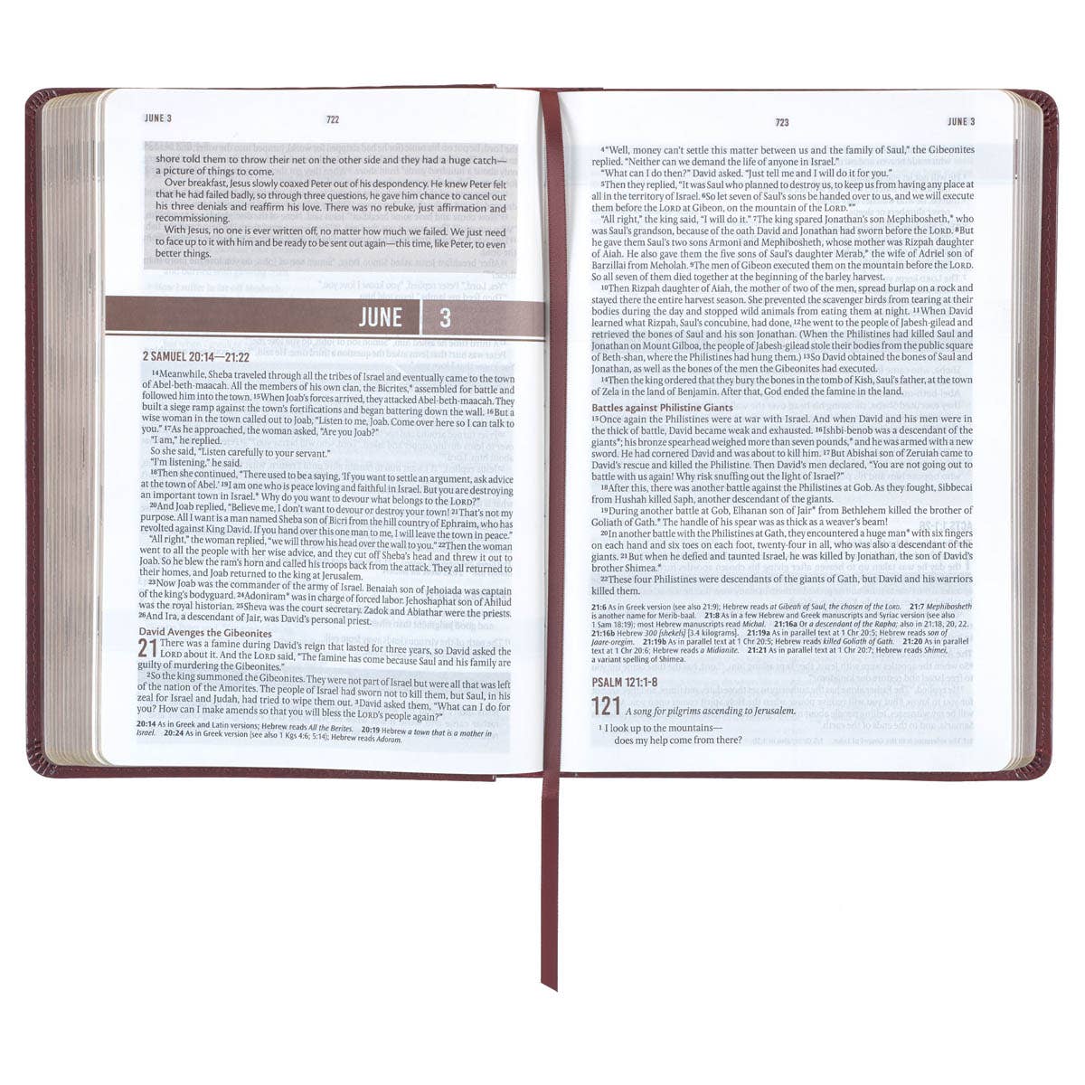 Christian Art Gifts - Devotional Bible NLT for Men Faux Leather, Saddle Tan