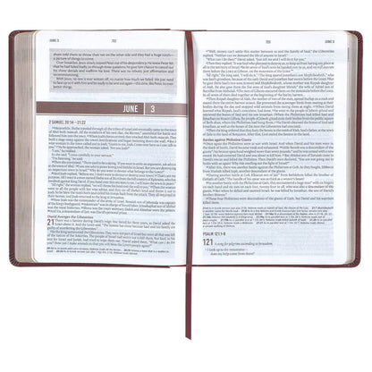 Christian Art Gifts - Devotional Bible NLT for Men Faux Leather, Saddle Tan
