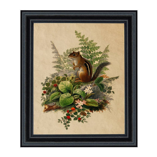 Woodland Chipmunk Cottagecore Framed Reproduction Print