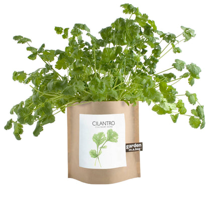 Garden in a Bag Cilantro | Thoughtful Cook’s Gift