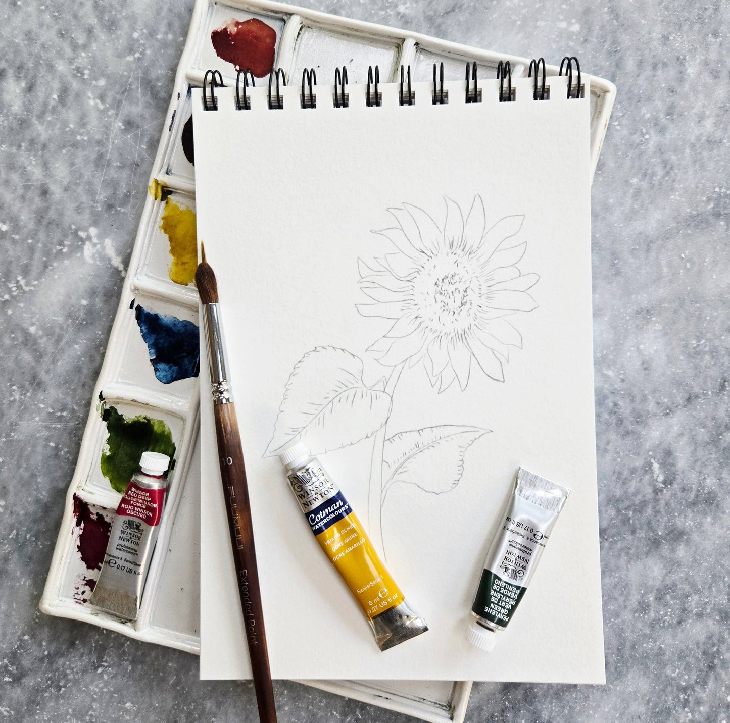 Watercolor Workbook, Spiral Bound 12 Months of Watercolor