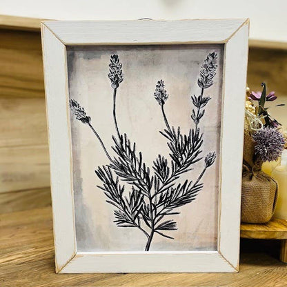Spanish Lavender Illustration