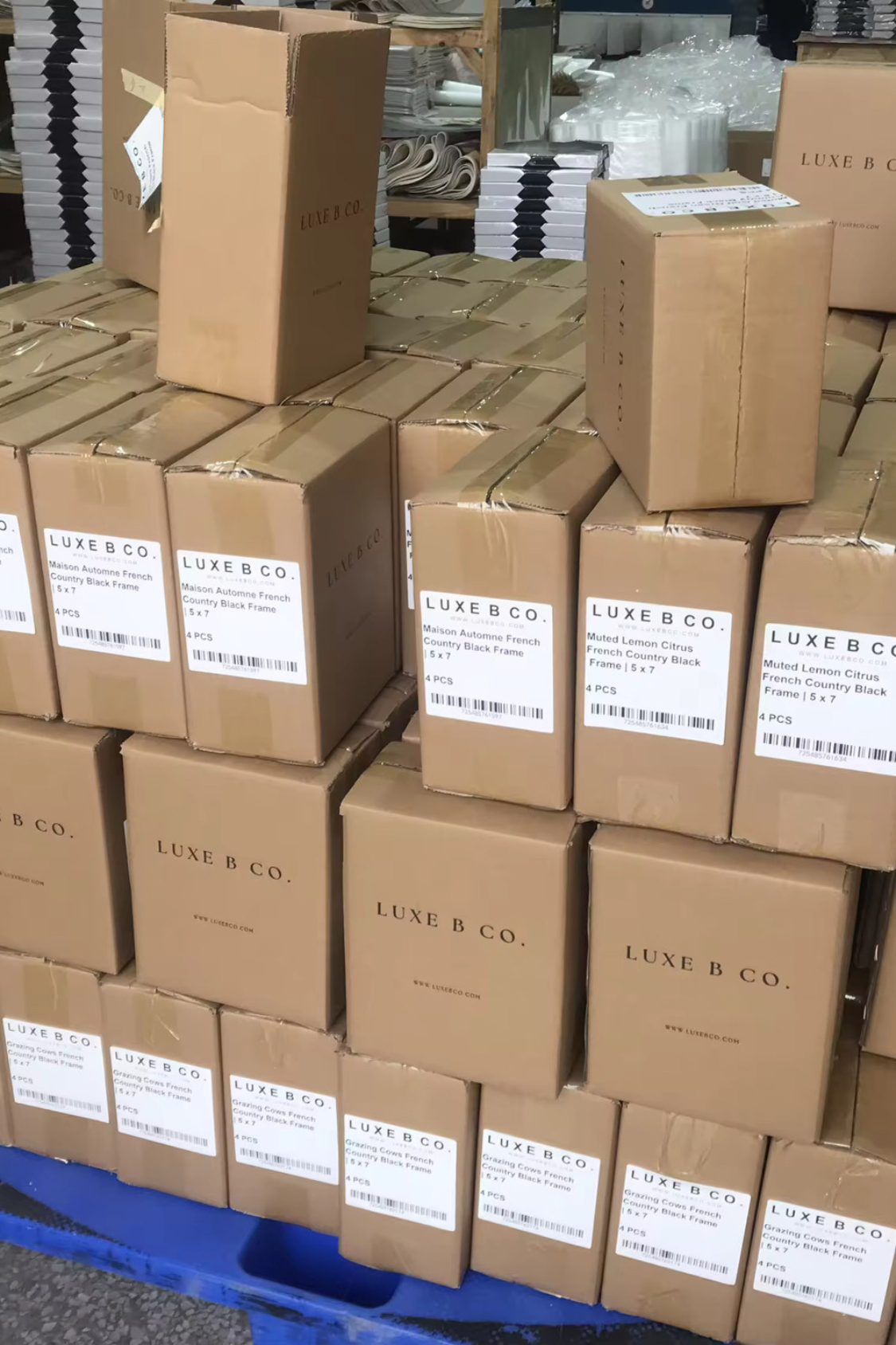 Aceitunas Vintage | Arte enmarcado en latón francés con molde dorado