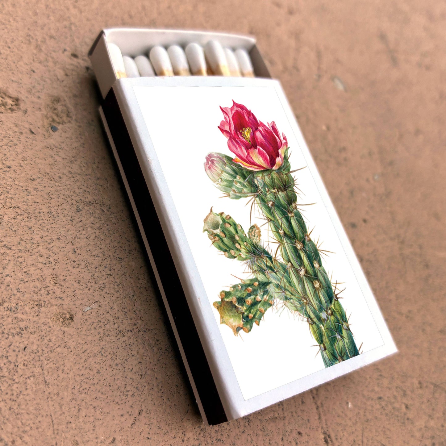 Matches • Walkingstick Cholla Cactus