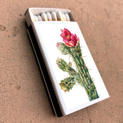 Matches • Walkingstick Cholla Cactus