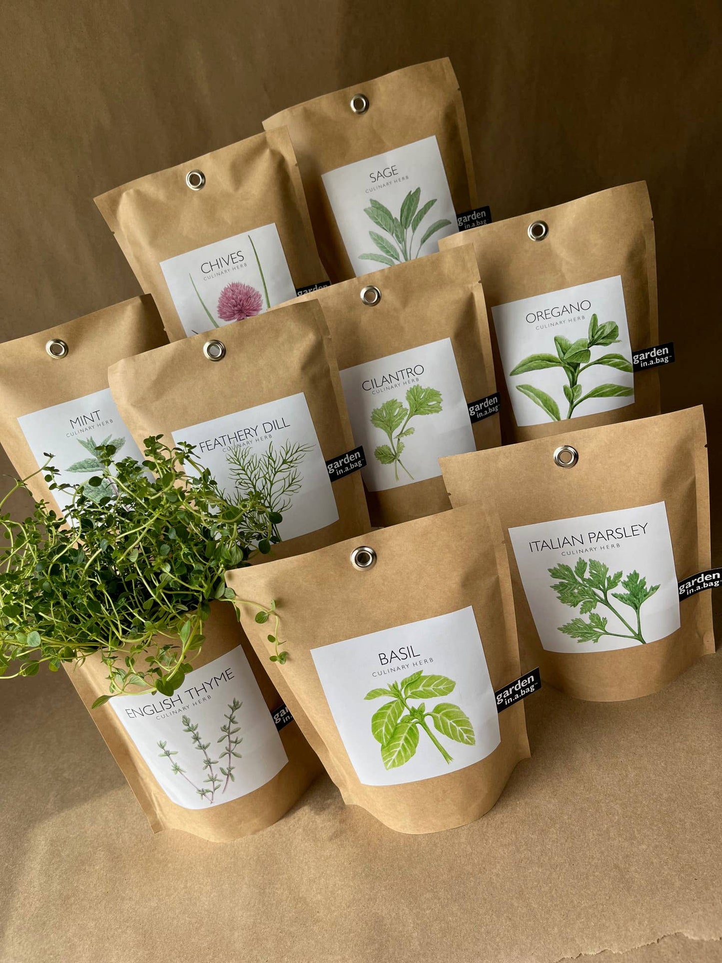 Garden in a Bag | Basil