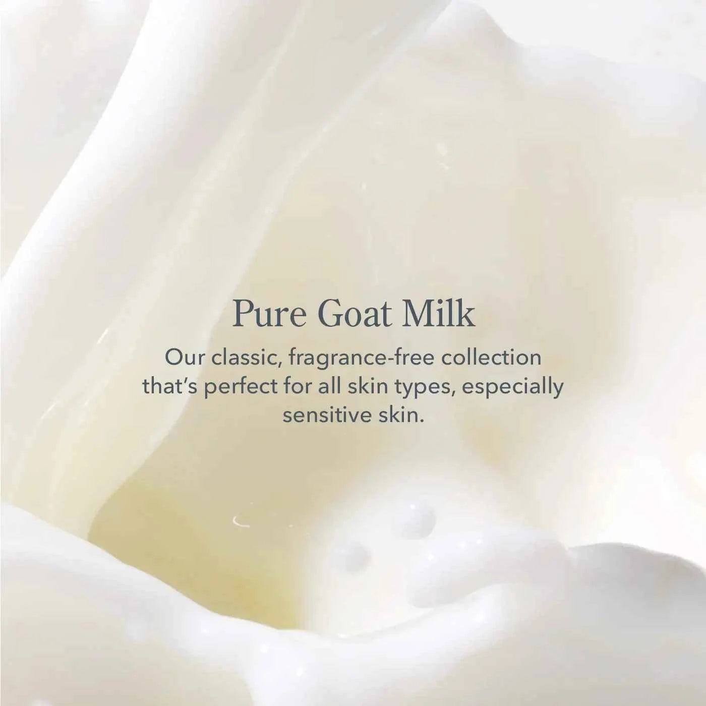 Pure Goat Milk Lotion 12.5 Oz